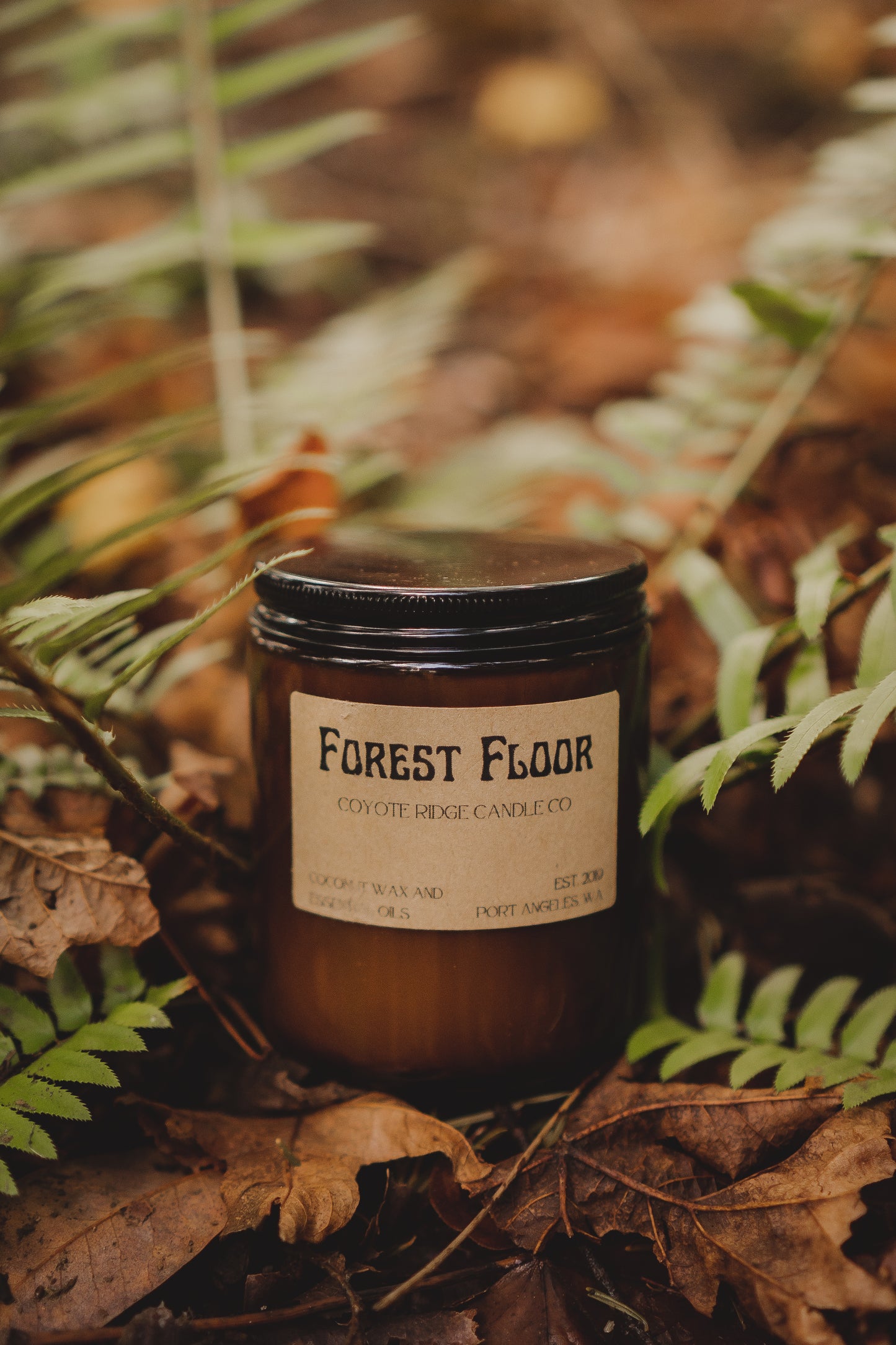 Forest Floor