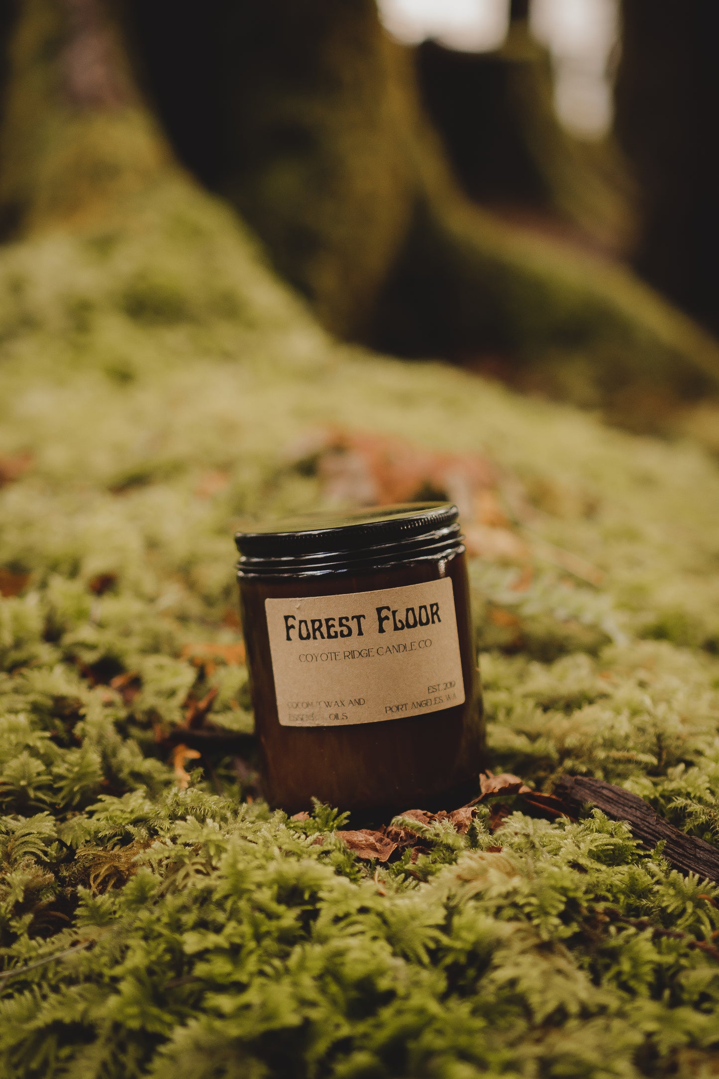 Forest Floor