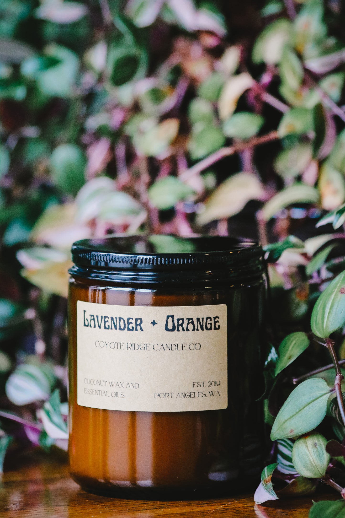 Lavender and Orange