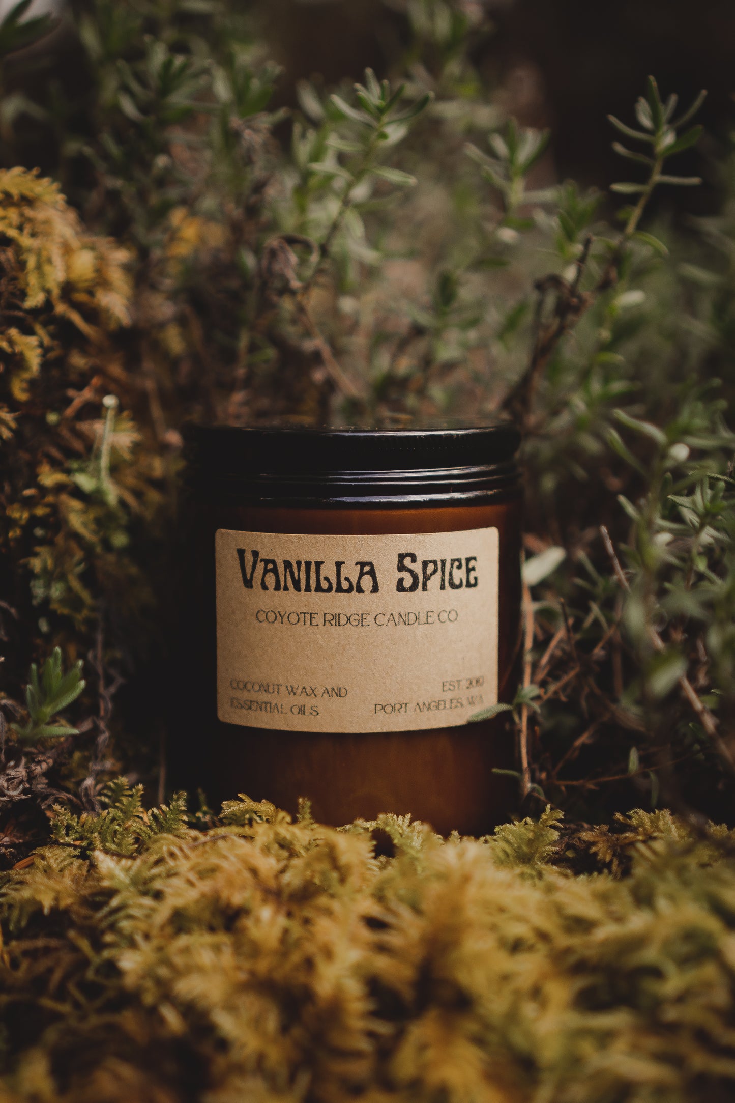 Vanilla Spice