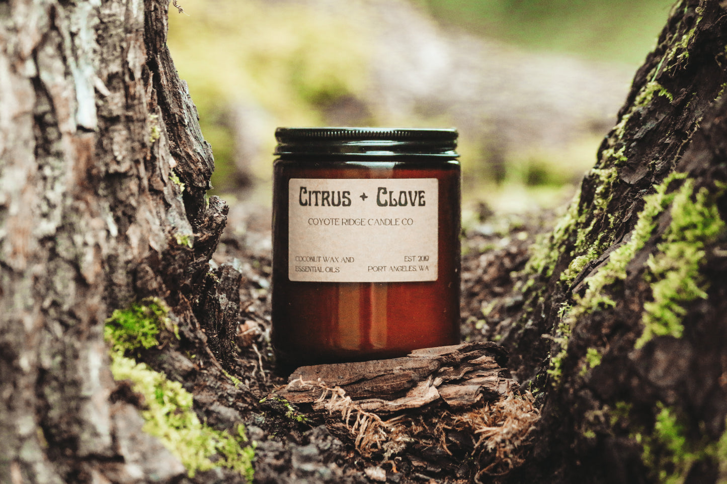 Citrus + Clove