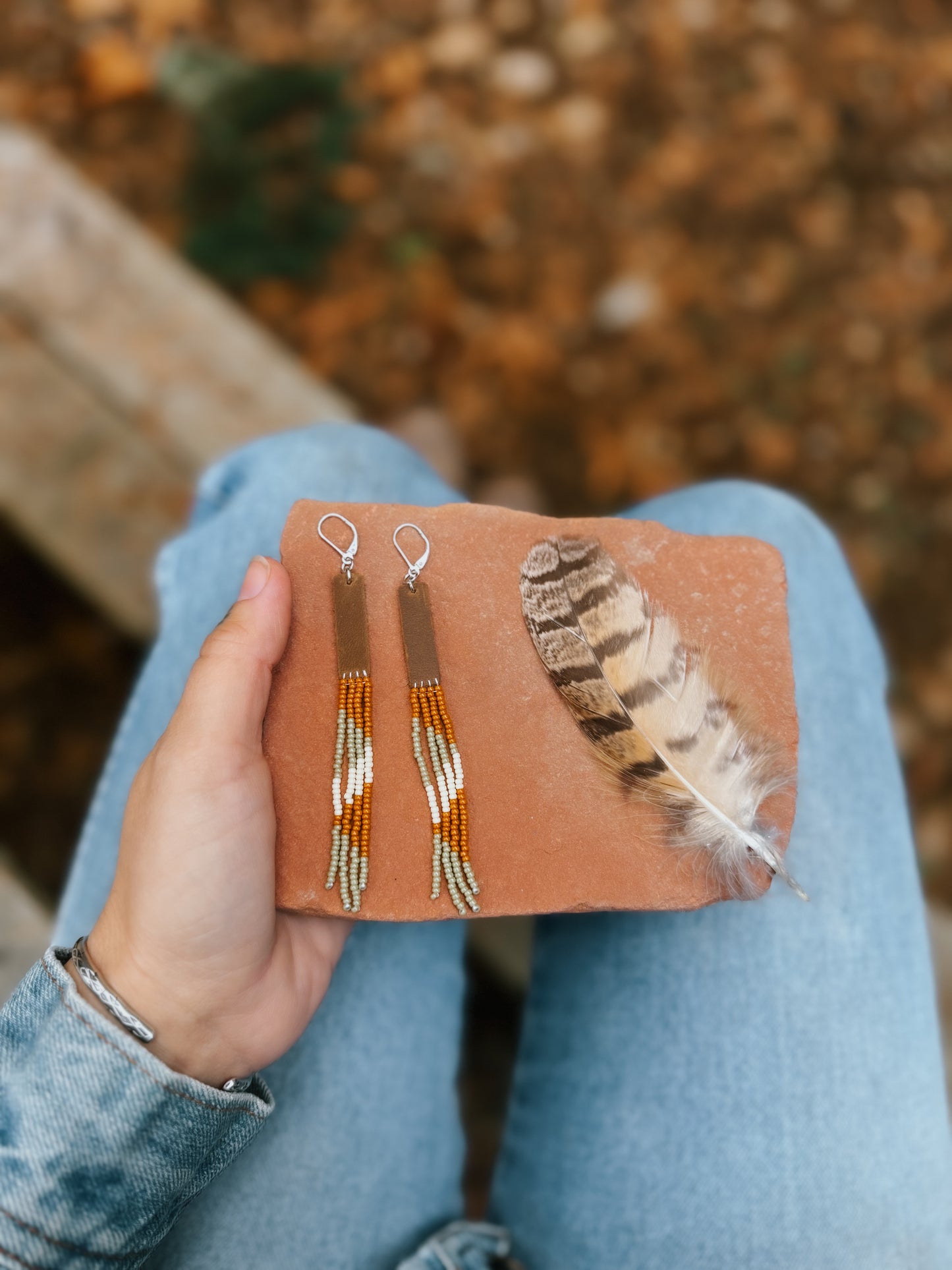 Leather and fringe 4