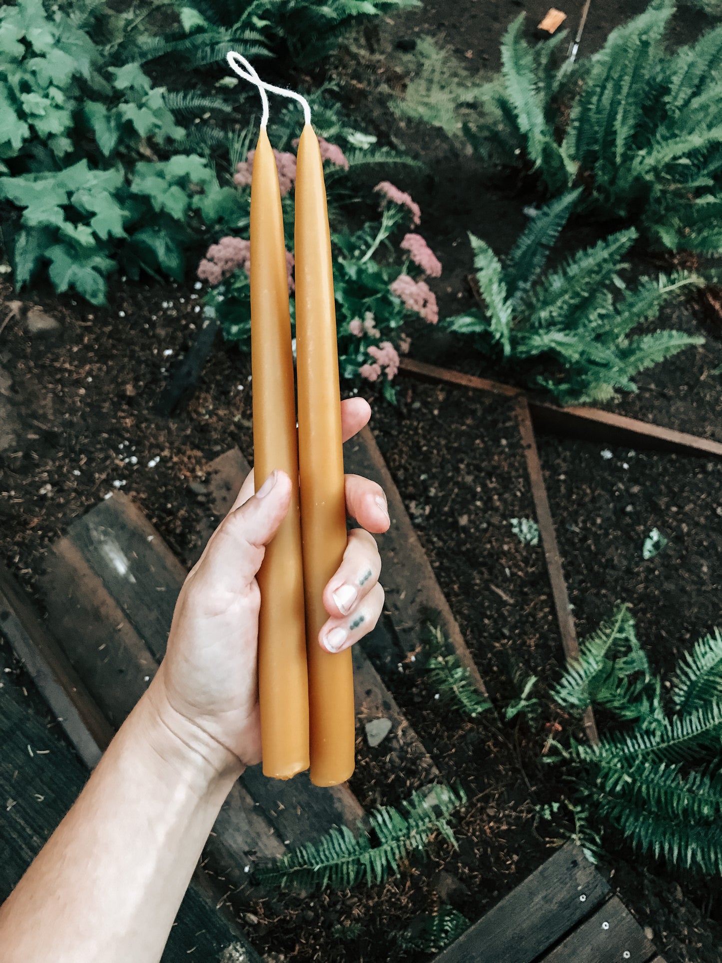 Beeswax taper candle