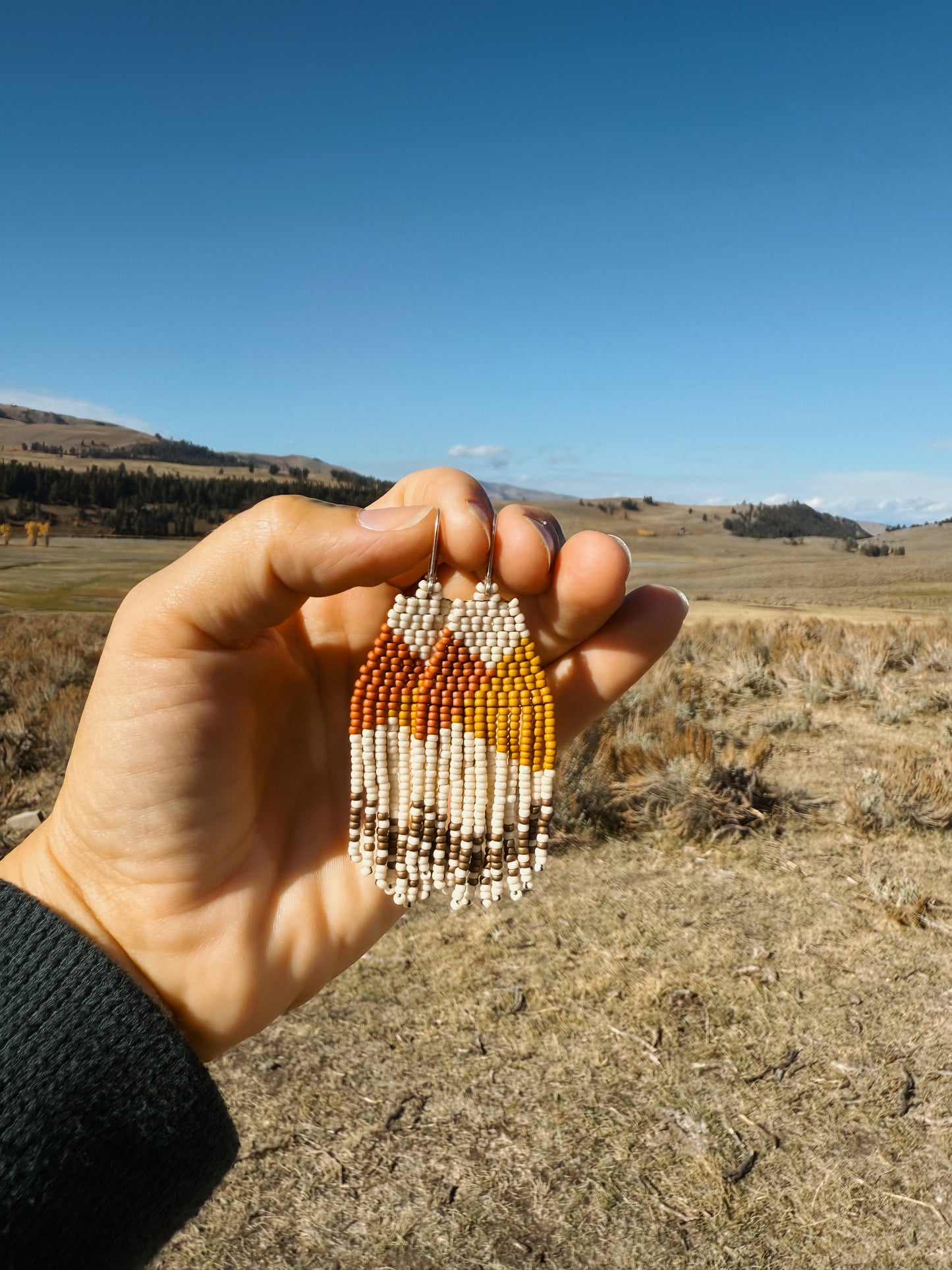 Copper Ridge fringe earring