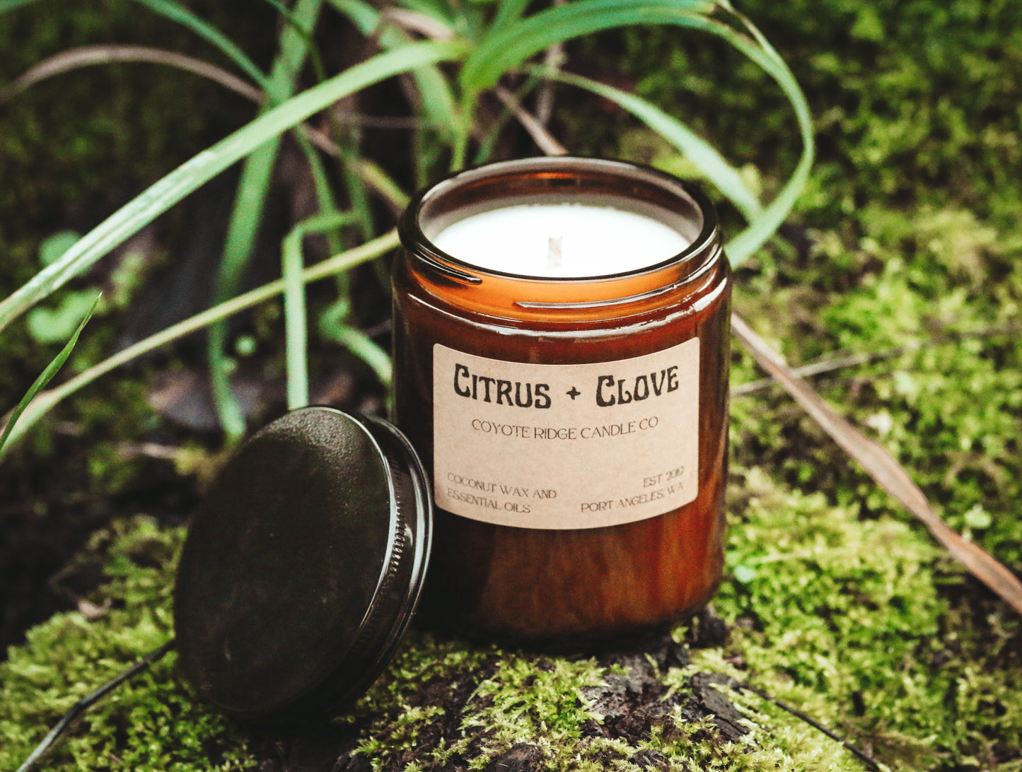 Citrus + Clove