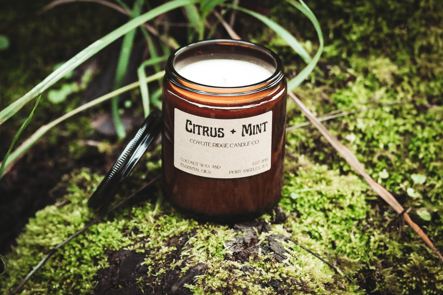 Citrus Mint