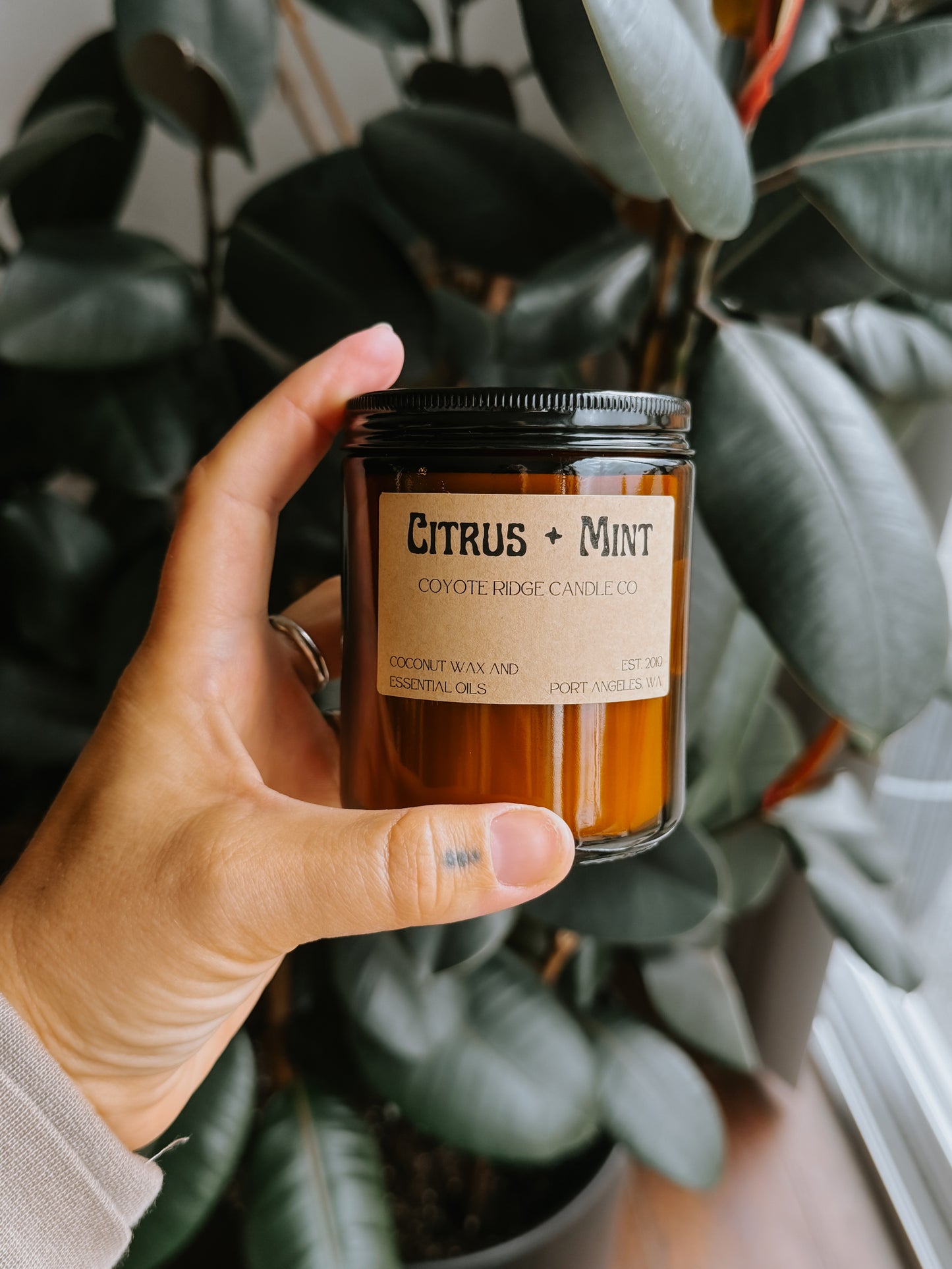 Citrus Mint