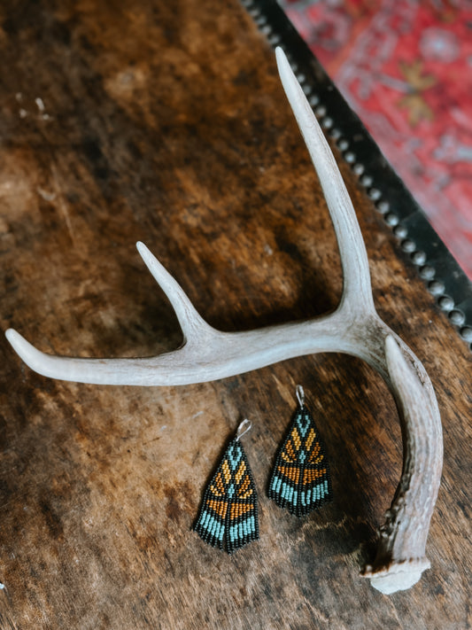 High Desert Earring