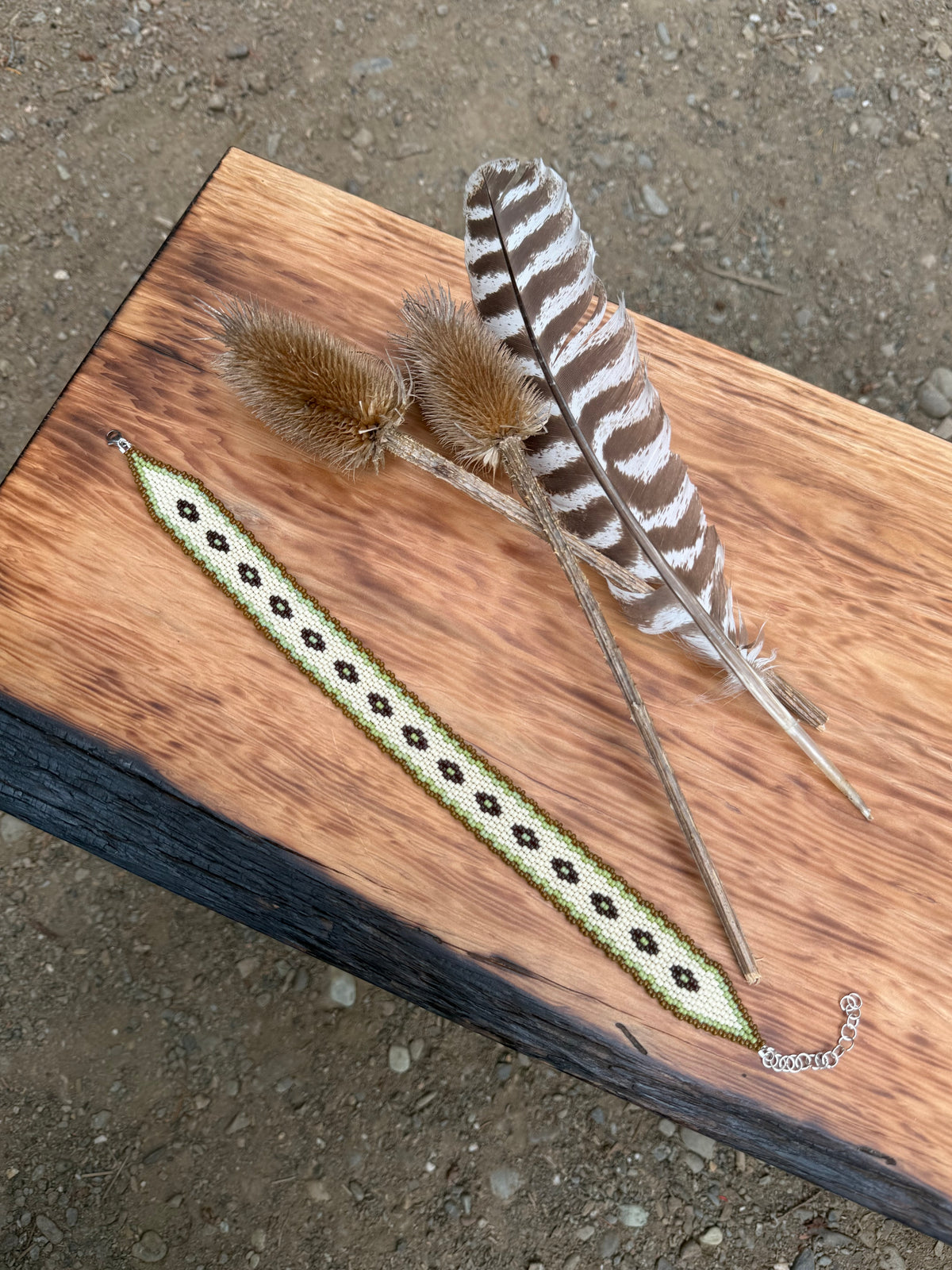 Coyote tracks choker